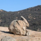 bunny rock