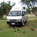 camping at kennett river