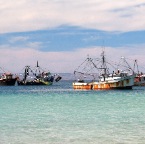 shrimp boats