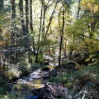 and beautiful creek