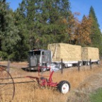 that's 360 bales!