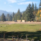 thru the meadow...