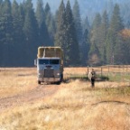 down the road w/dorothy