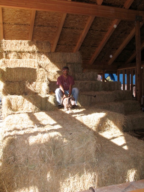 Loading Image