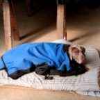 it's cold!!!