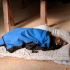 nap time...