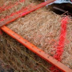 measuring sticks