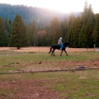 lil' trot