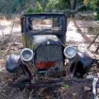 the dodge...