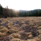 piles to compost