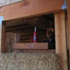 compressing the walls