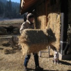 dorothy with the last bale