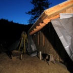 tarping