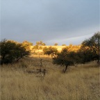 IMG_3850.JPG