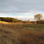 IMG_3852.JPG