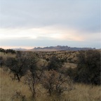 IMG_3853.JPG