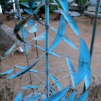 wind art