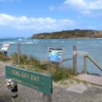 sting ray bay?