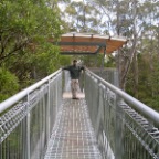 cape otway flywalk