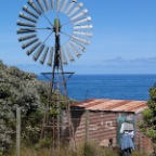 wind power