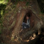 graham in tree