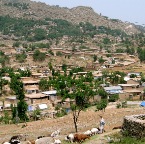 afgan refugees