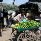 cucumbers