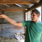animal part in shed