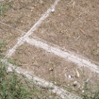 sand lines