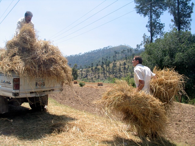 Loading Image