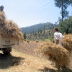 loading the truck