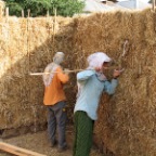 bamboo bale needle!