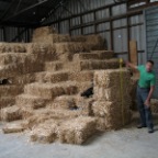 graham measures bales