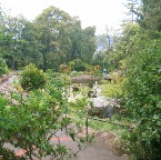 royal botanical garden