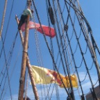flags fly