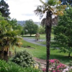 the park