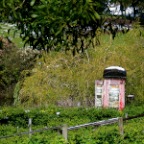 telephone