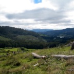 swamp rd again