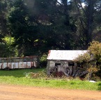local art