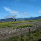 trekking northeast