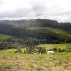 pano view Swamp Road