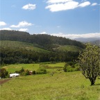 northeast