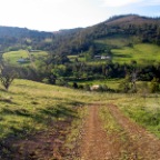 looking down our road