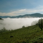morning fog