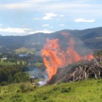 first burn