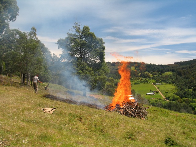 Loading Image