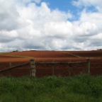 red earth