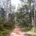 road to lake