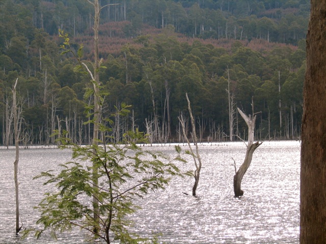 Loading Image