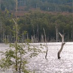 lake